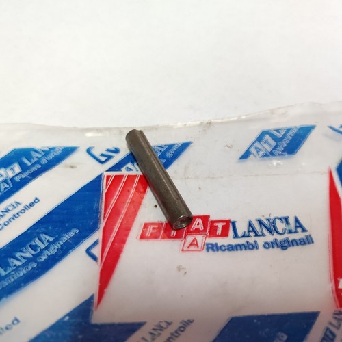 Perno per cerniera porta - perno,